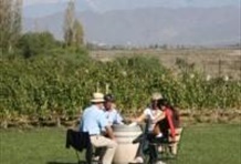 Central Valley Wine Tour